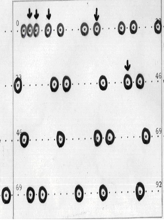 periodicity-primes-a